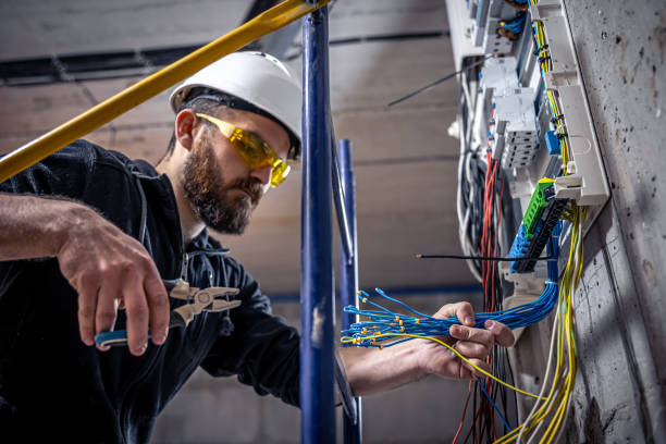 Best Local Electrician Companies  in Zeeland, MI