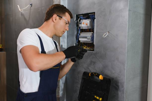 Best Electrical System Inspection  in Zeeland, MI