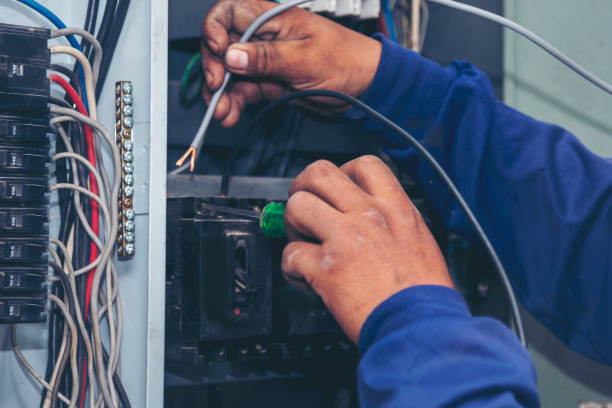 Best Electric Panel Repair  in Zeeland, MI