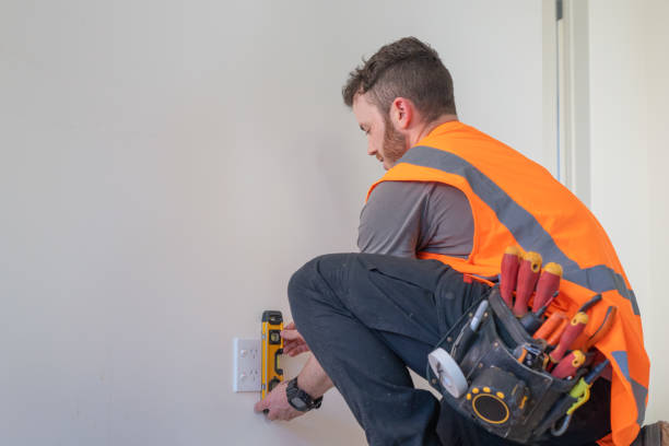 Best Affordable Emergency Electrician  in Zeeland, MI